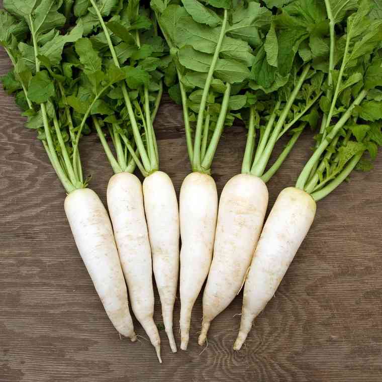 Củ cải trắng cũng giúp đưa ôxy đến các cơ quan trong cơ thể đều đặn