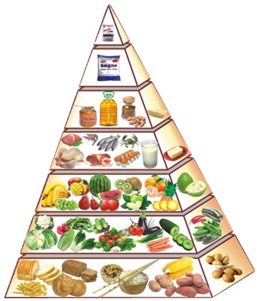 tháp dinh dưỡng cân đối