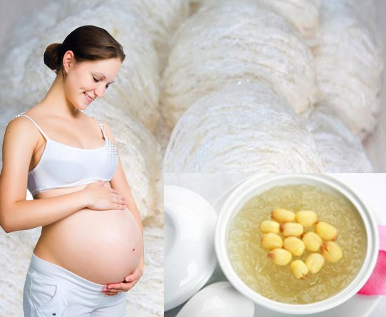 Phụ nữ không được ăn yến sào trong 3 tháng đầu thai kỳ