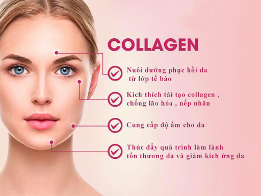 Công dụng của collagen đối với cơ thể