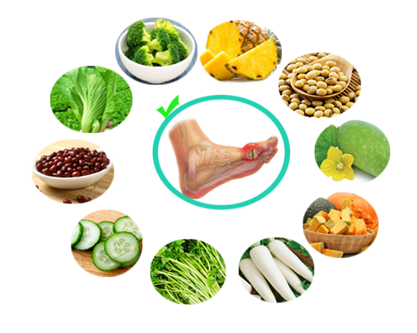 Chế độ dinh dưỡng dành cho người mắc bệnh Gout
