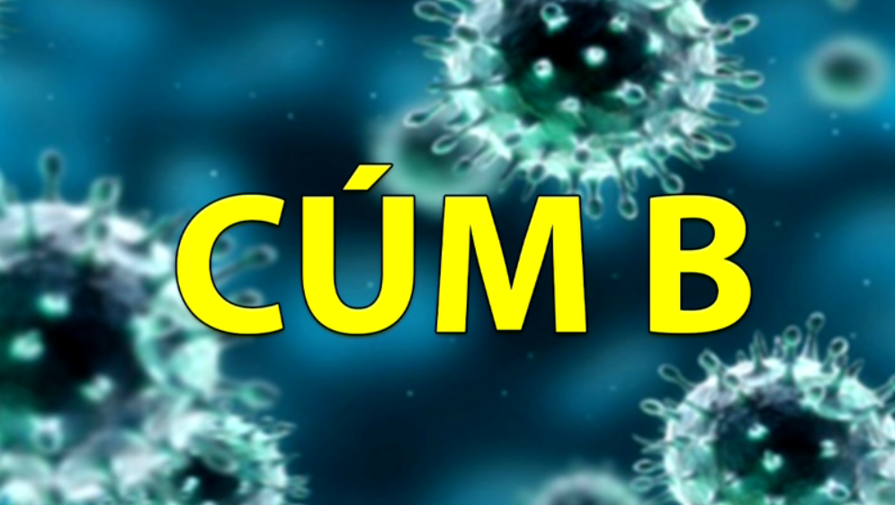 Virus cúm B